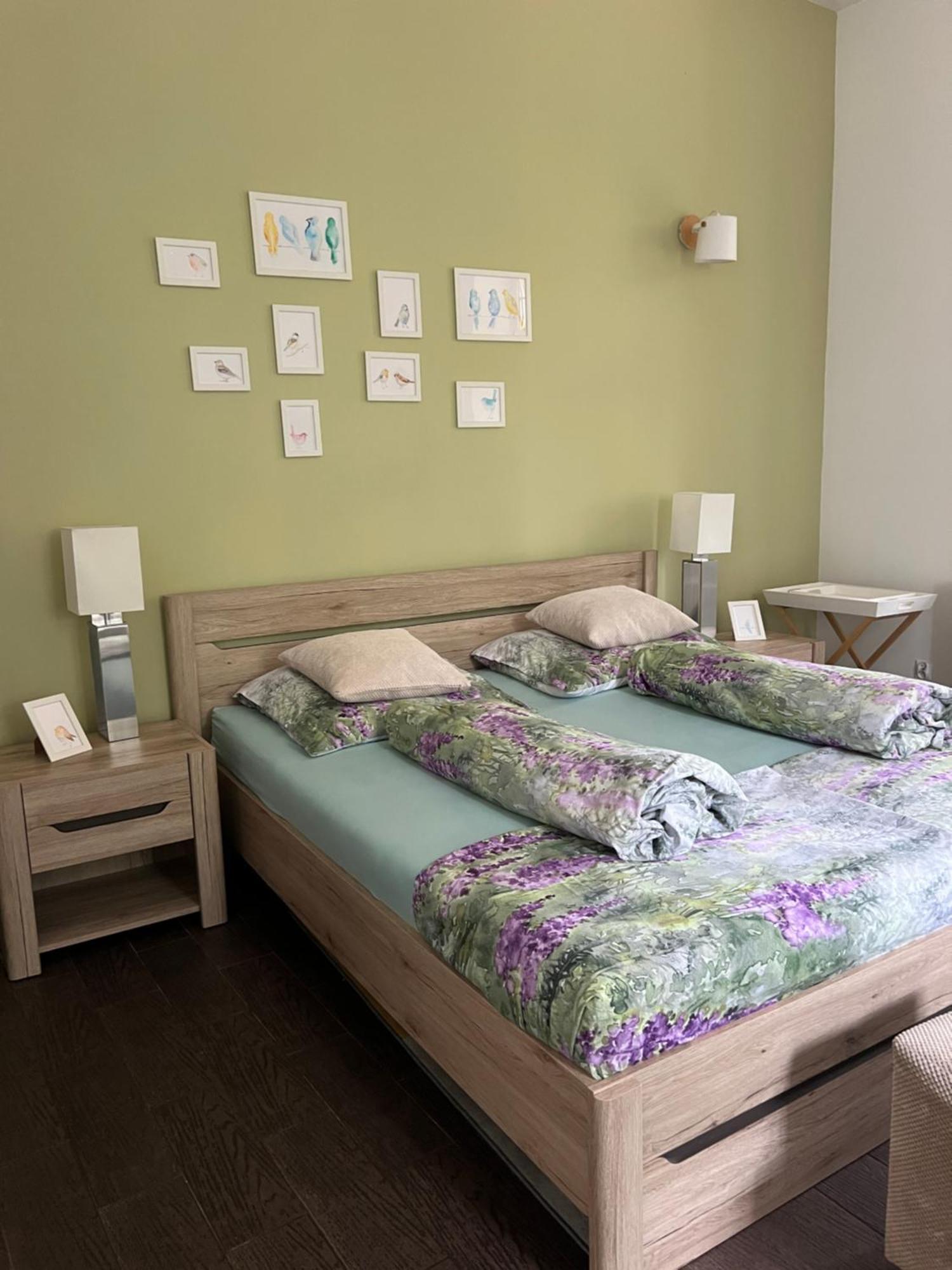 Apartament Ptasie Radio 什切齐内克 外观 照片