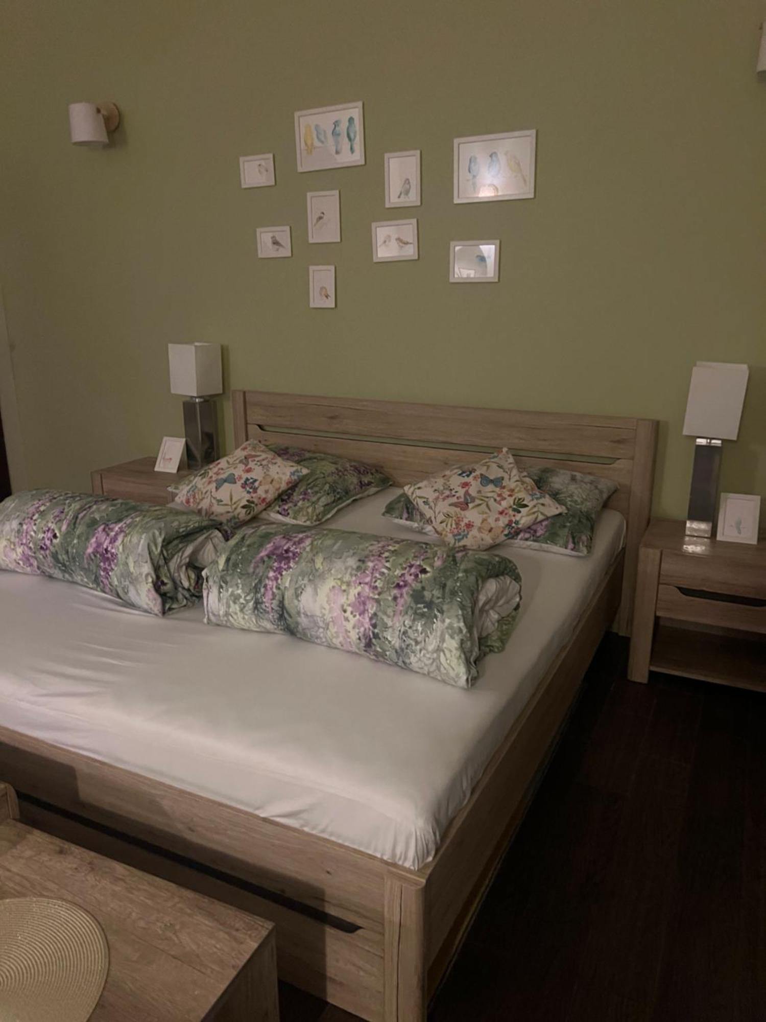 Apartament Ptasie Radio 什切齐内克 外观 照片